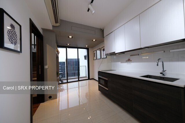 Sims Urban Oasis (D14), Condominium #520905911